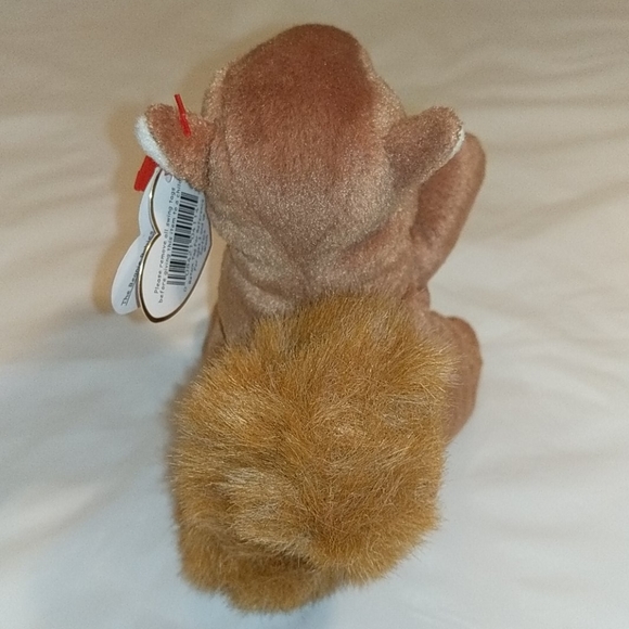 Beanie Baby  Nuts the Squirrel - Picture 3 of 5
